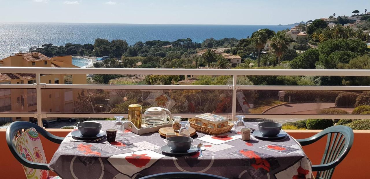 T1 Vue Mer Bord De Mer Ajaccio أجاكسيو المظهر الخارجي الصورة