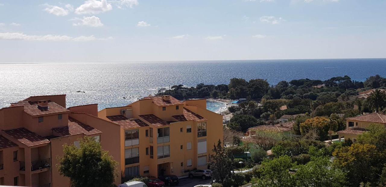 T1 Vue Mer Bord De Mer Ajaccio أجاكسيو المظهر الخارجي الصورة