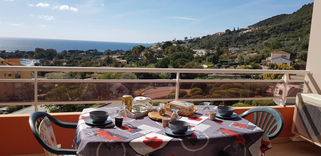 T1 Vue Mer Bord De Mer Ajaccio أجاكسيو المظهر الخارجي الصورة